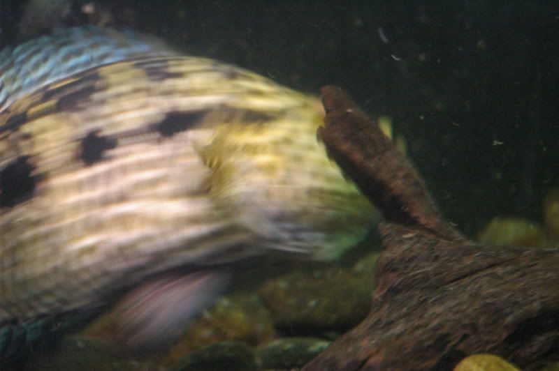 DSC_2947.jpg