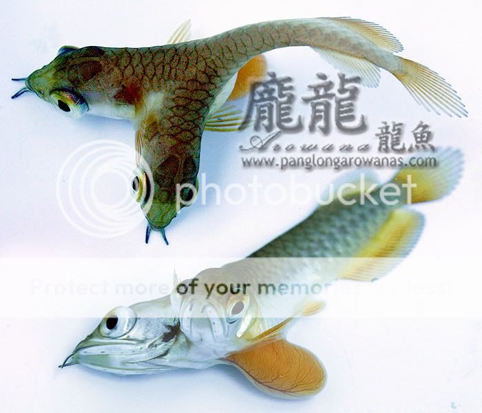 f06f93b1.jpg
