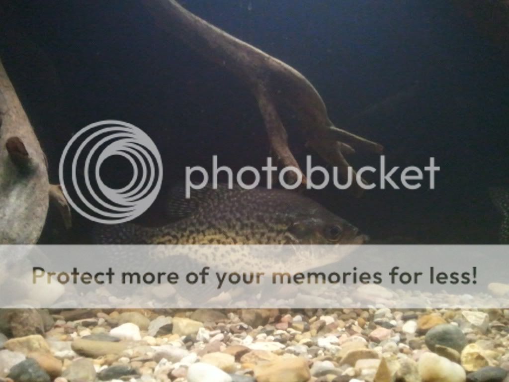 2012-02-19211745.jpg