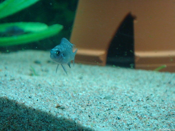 824vk68c_DSC02275.JPG