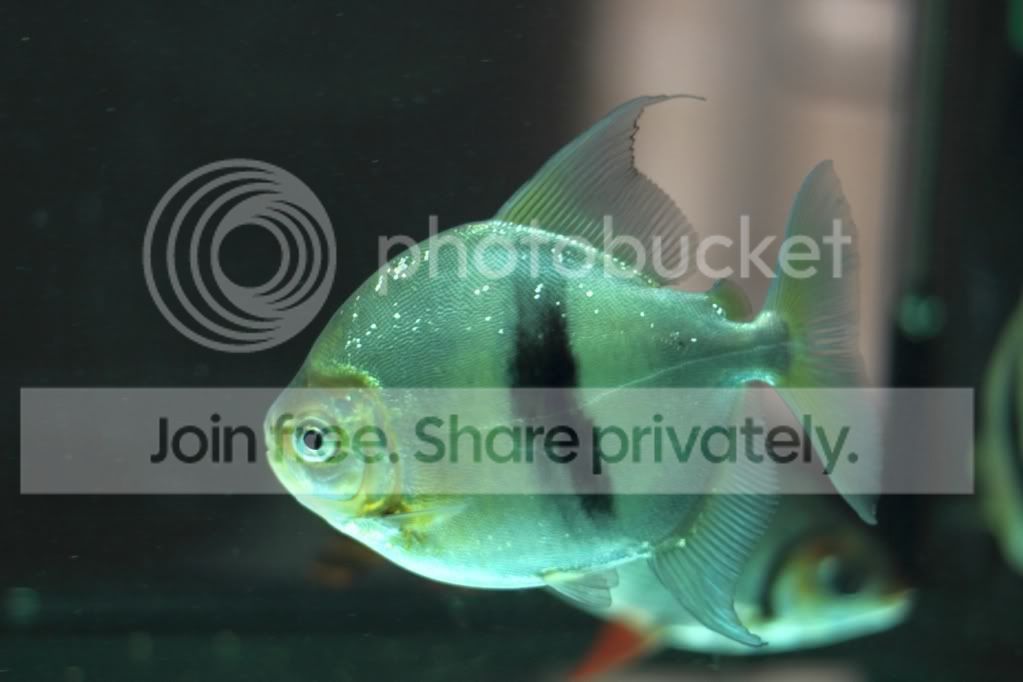 DP_0032.jpg