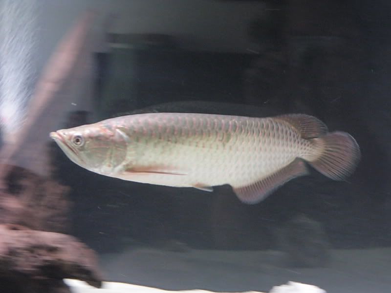DSCN1543.jpg