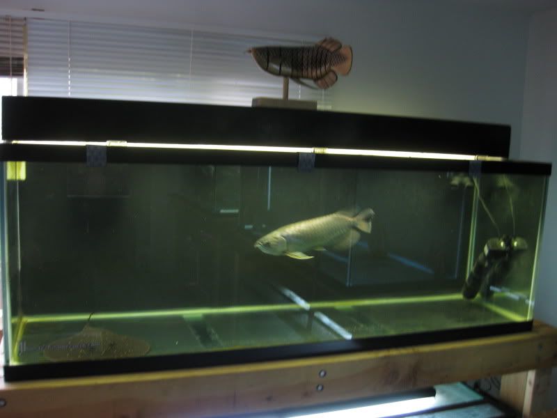 11-7-09021.jpg