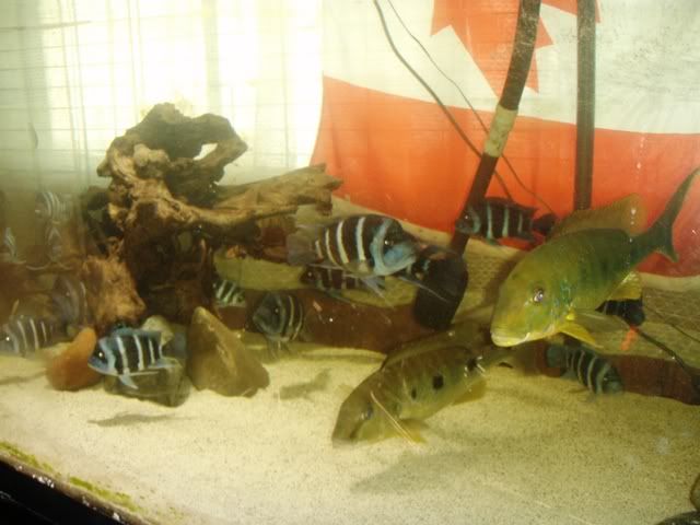P1010147.jpg