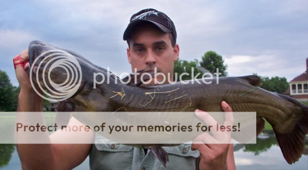 fishn106.jpg