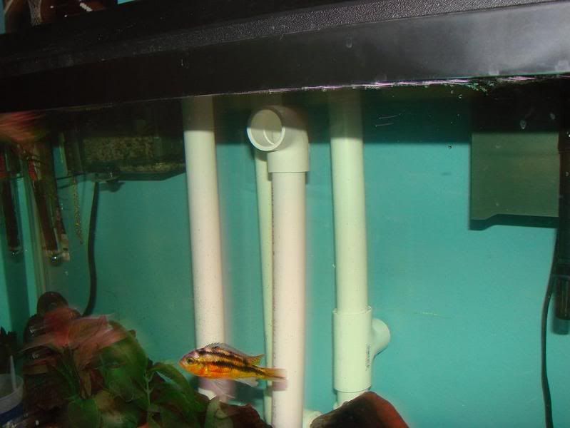 tankpix105.jpg