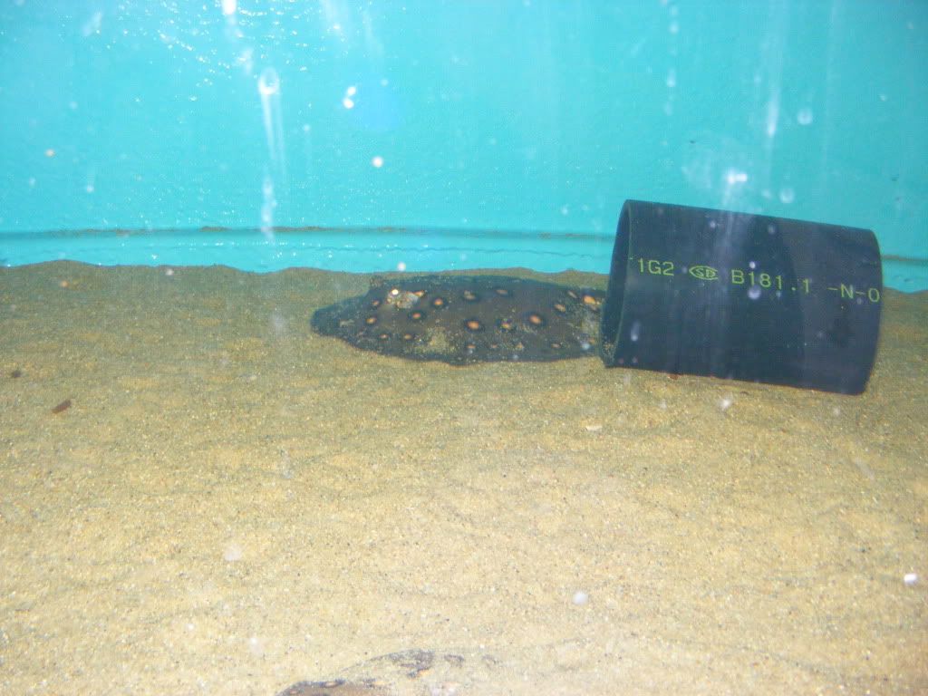 DSCF2676.jpg