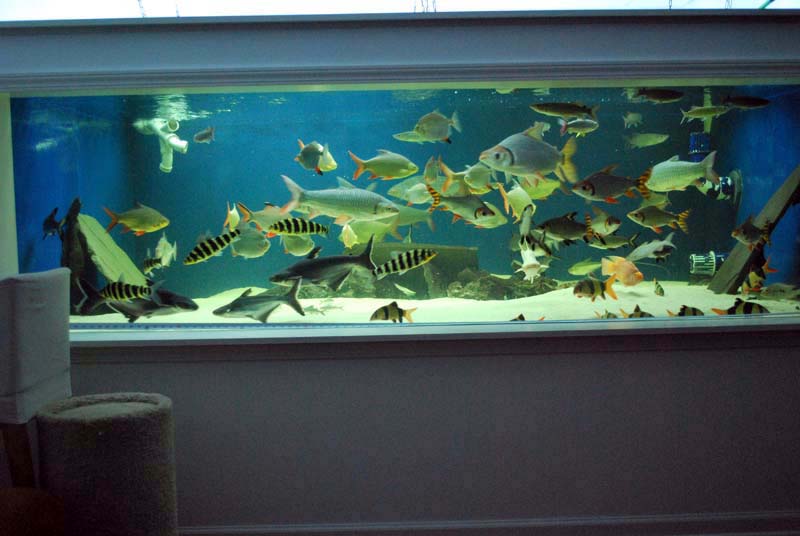 DSC_0302.jpg