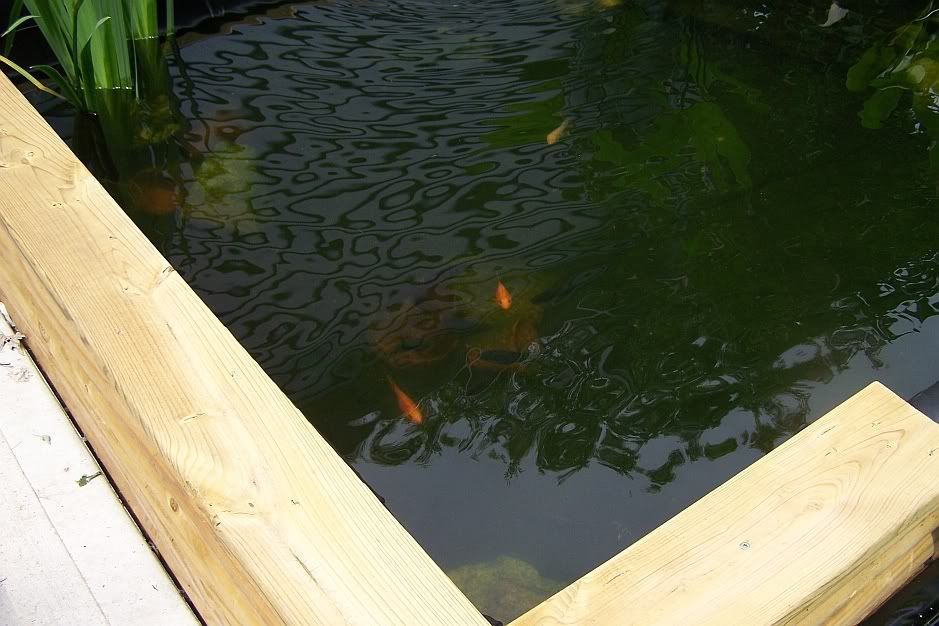100_1533.jpg