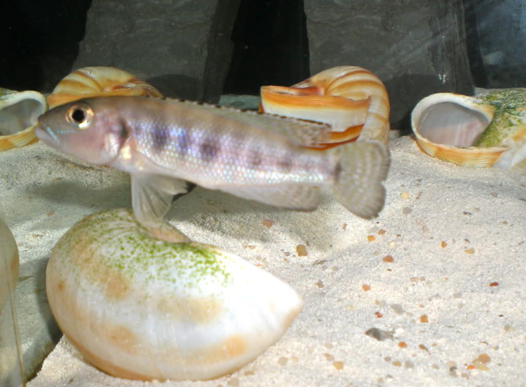 DSCN0728.jpg