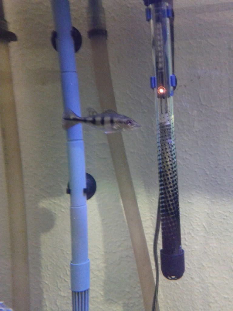 IMG_20120118_183502.jpg