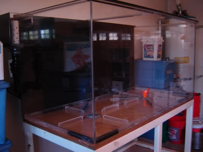 DSC07344.jpg