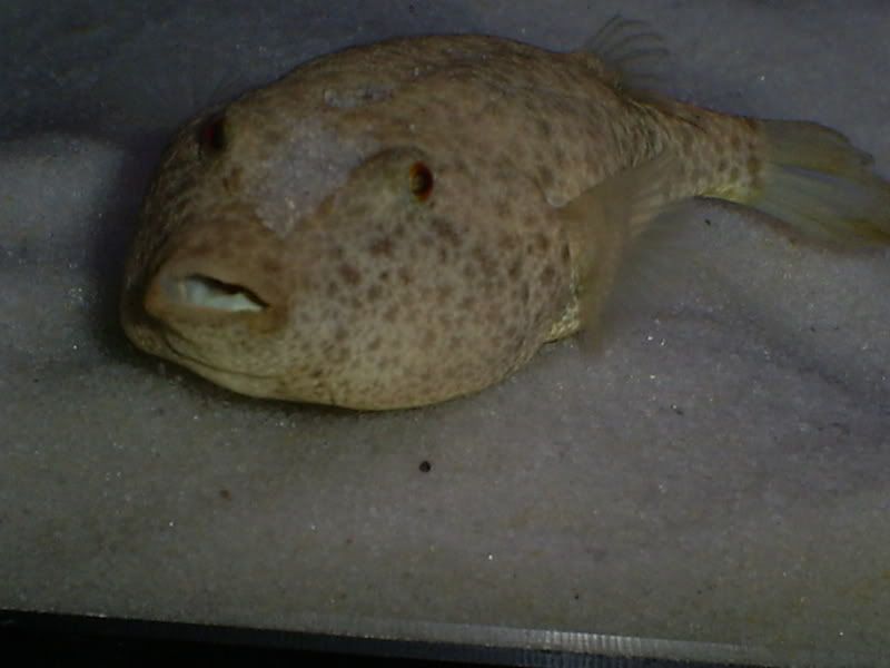 S5031356.jpg