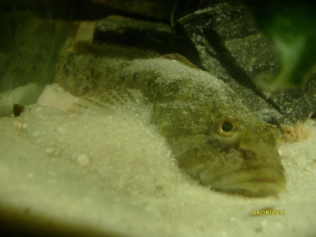 S7300718.jpg