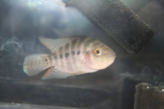 1d7e5965.jpg