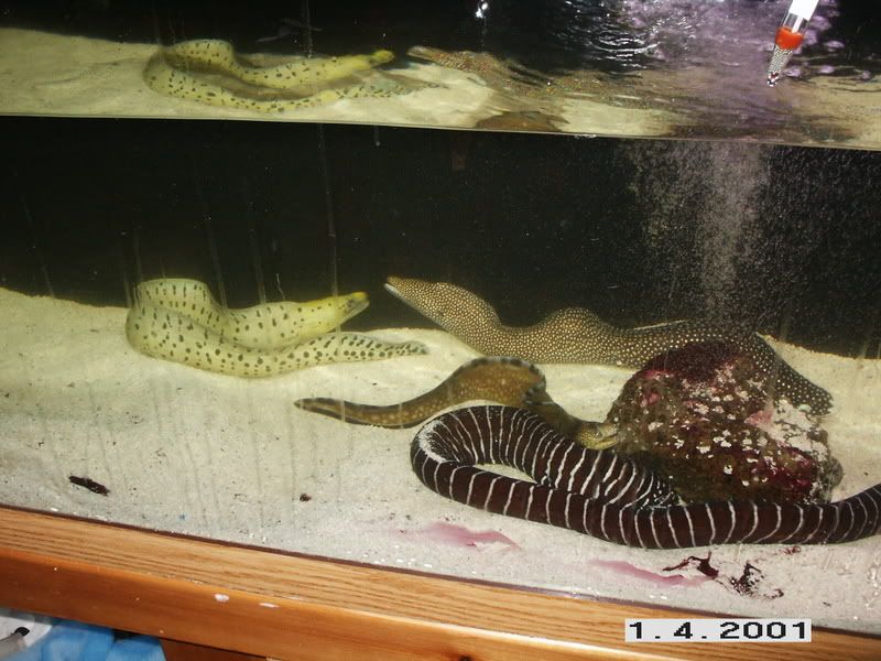 PICT0219.jpg