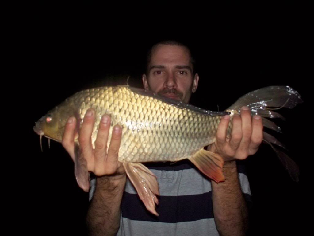 fishn095.jpg