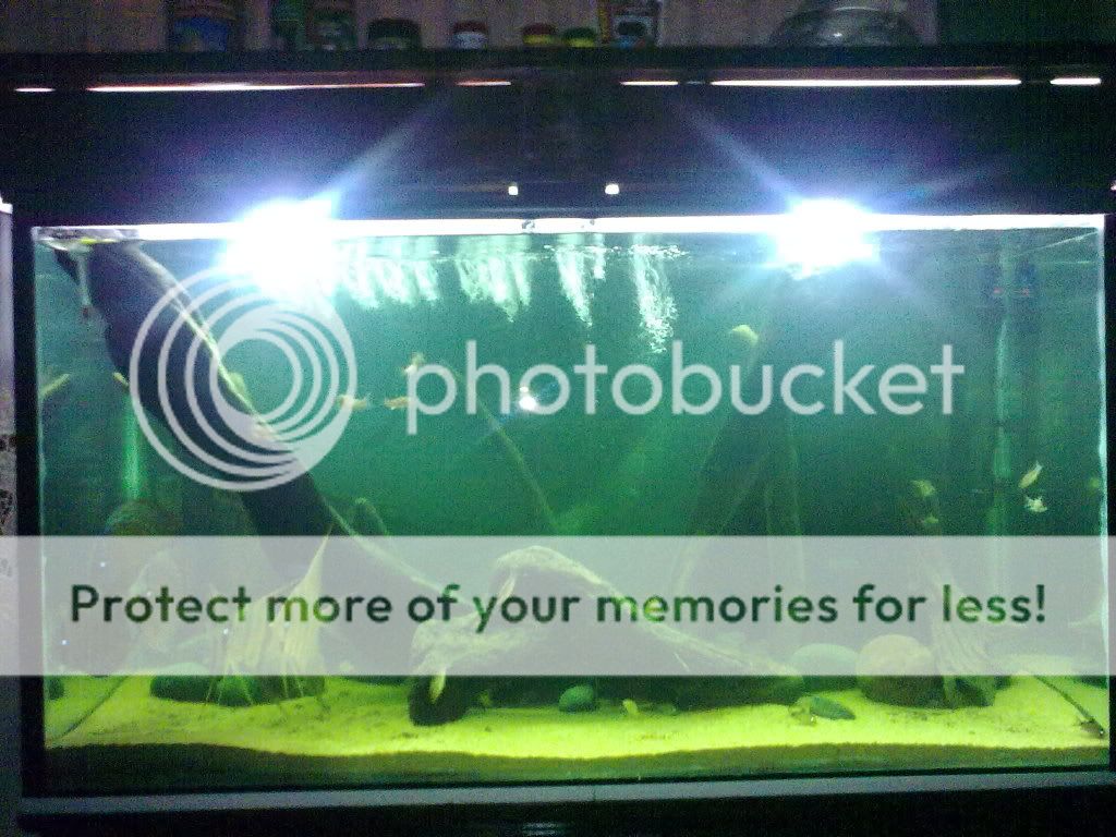 30052009135.jpg
