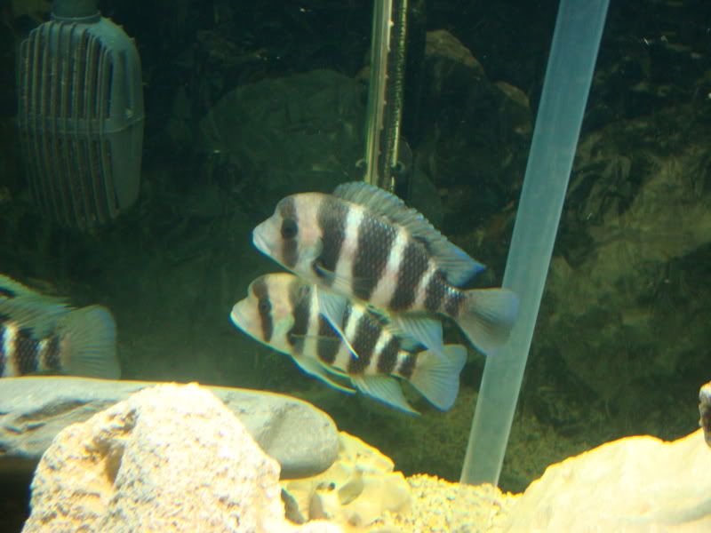 DSC02464.jpg