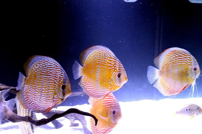 Group3.jpg