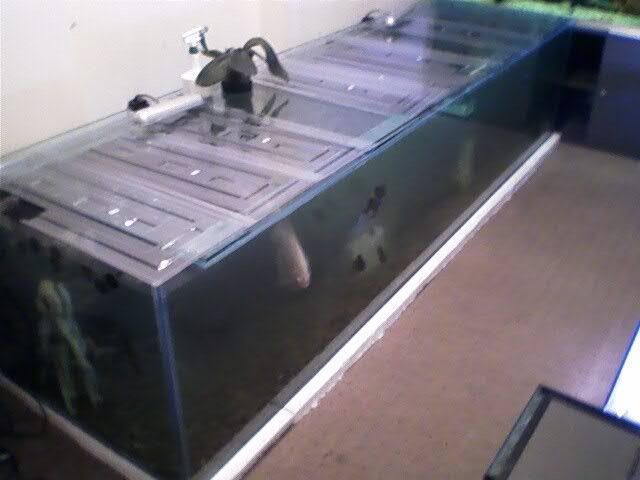 TANK2.jpg