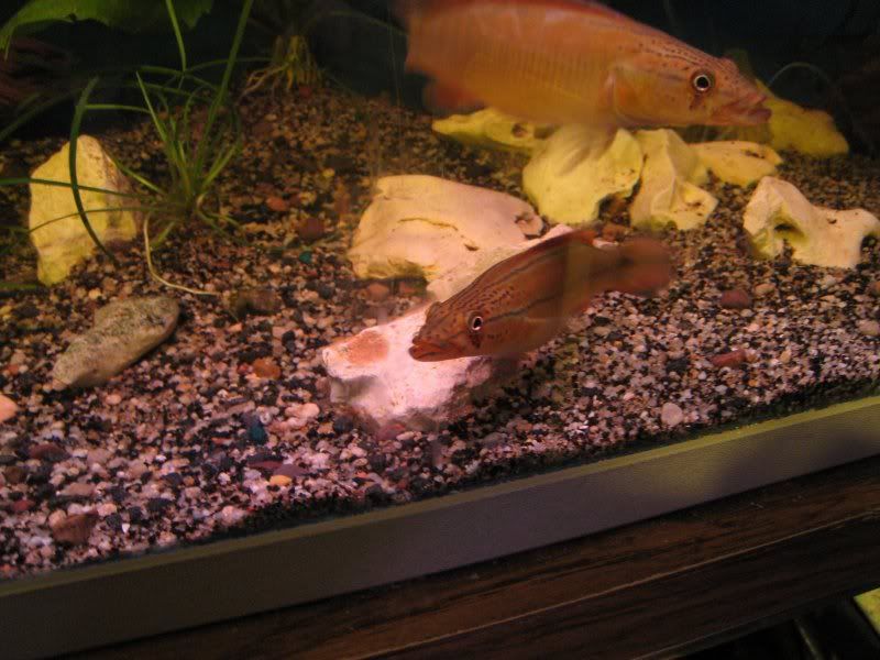 IMG_3537.jpg