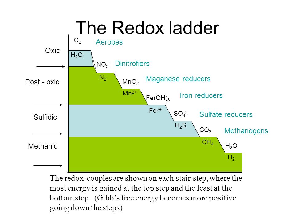 slide_4.jpg