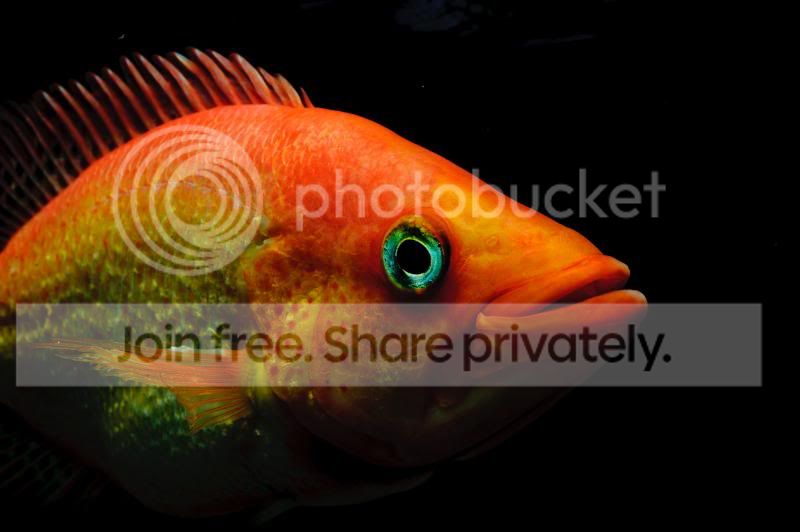 DSC_8667.jpg