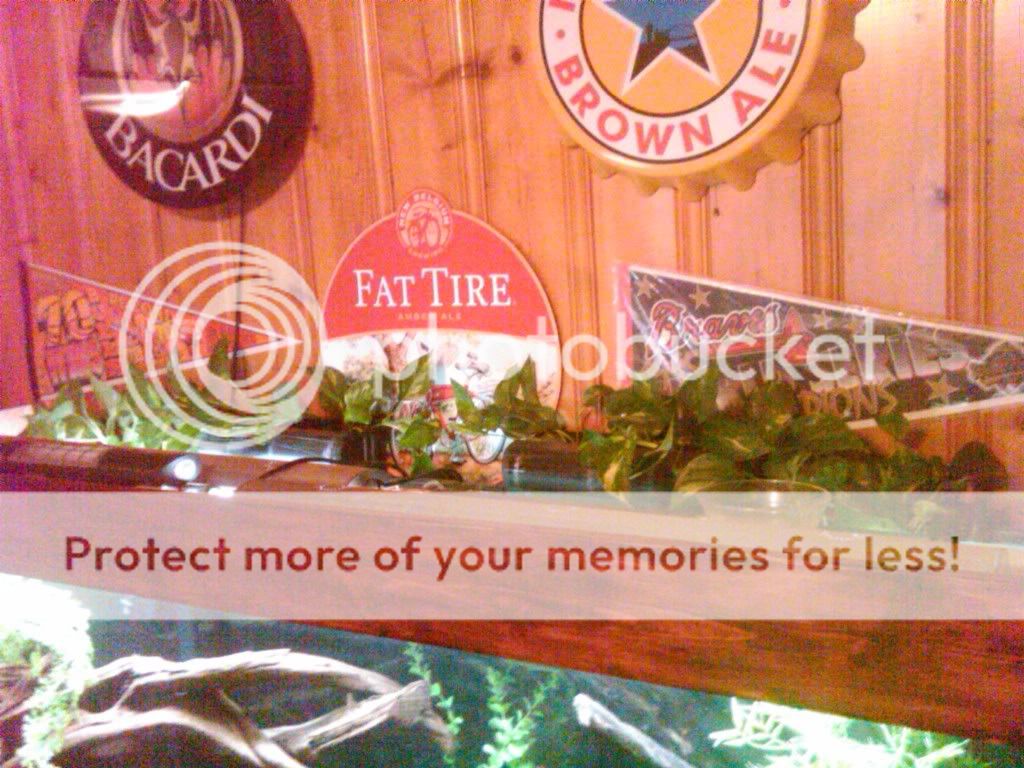 IMG00145-20110128-0801.jpg