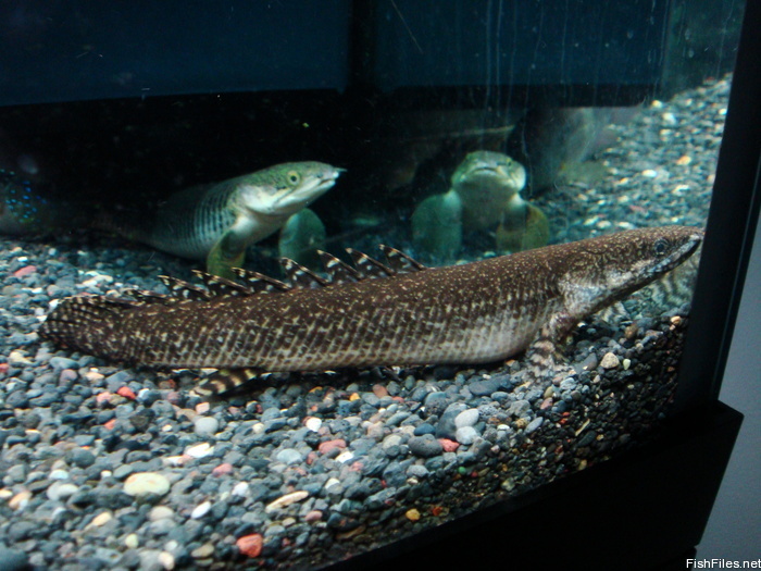 mwipaiit_DSC01901.JPG