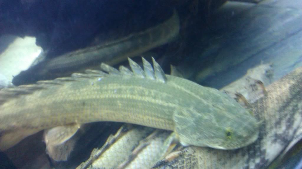 IMAG0757.jpg