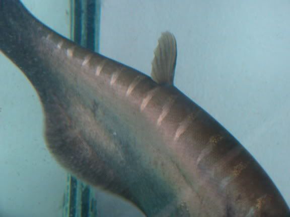 CChitala04.jpg