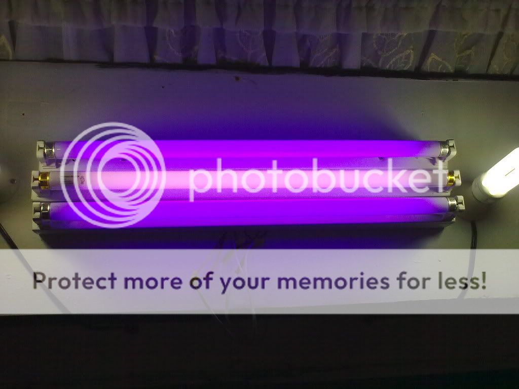 11062009191.jpg