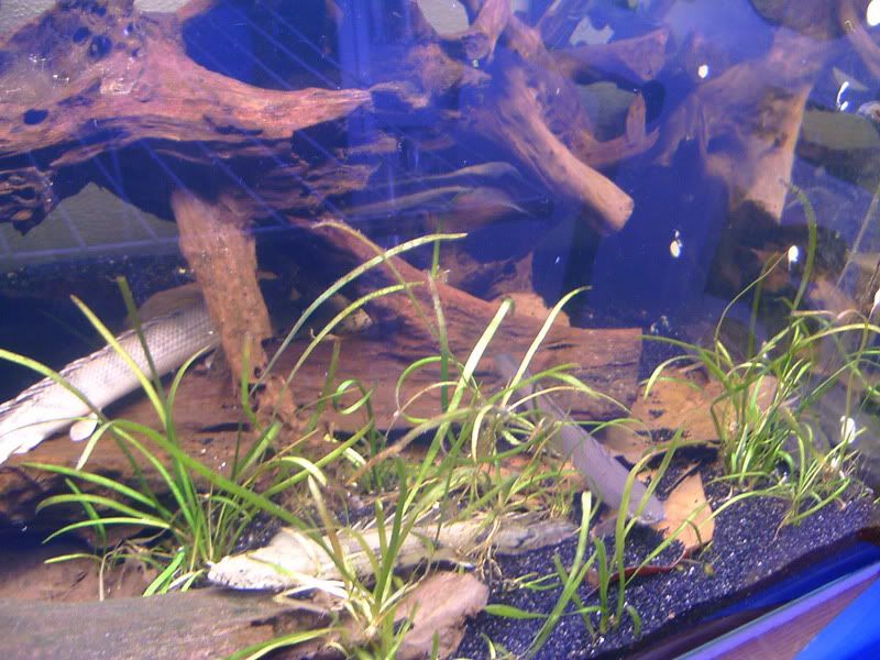 Bild382-1.jpg