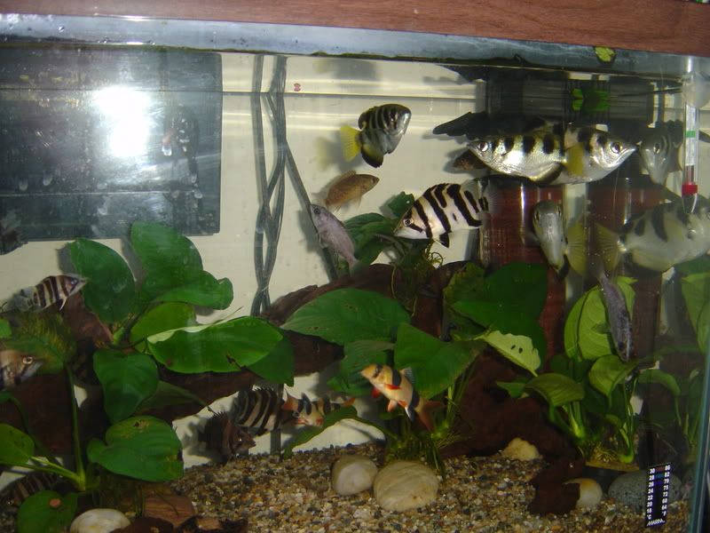 120gpt2013.jpg