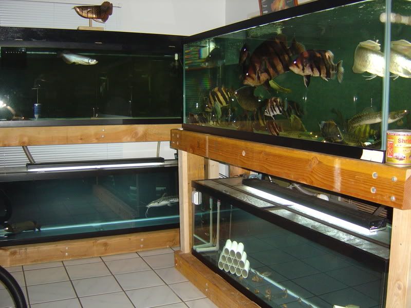 8-27-08001.jpg