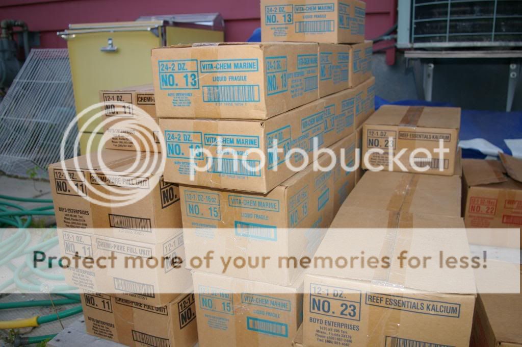 IMGP3642.jpg