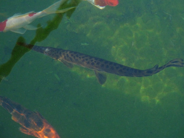 8712495096_5f1400630c_z.jpg