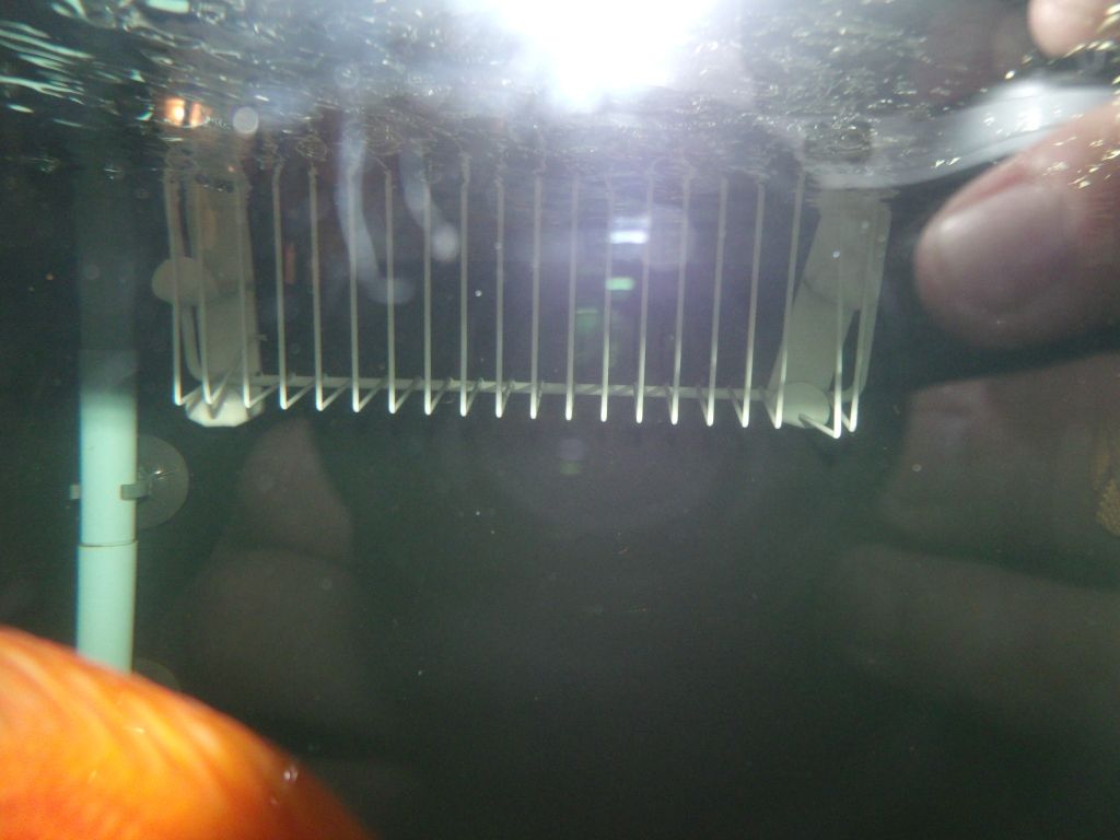 008-6.jpg