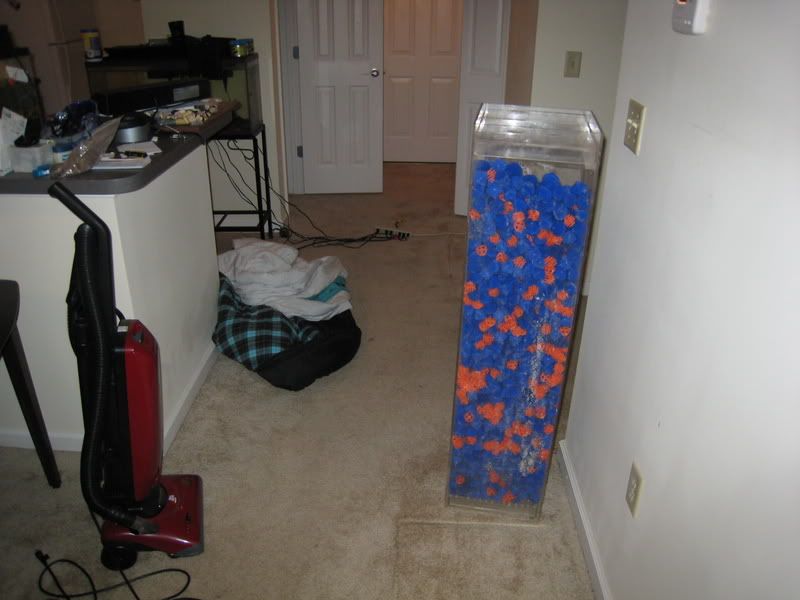 IMG_3316.jpg