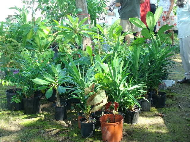 DSC07426.jpg