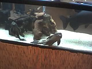 IMG0275.jpg