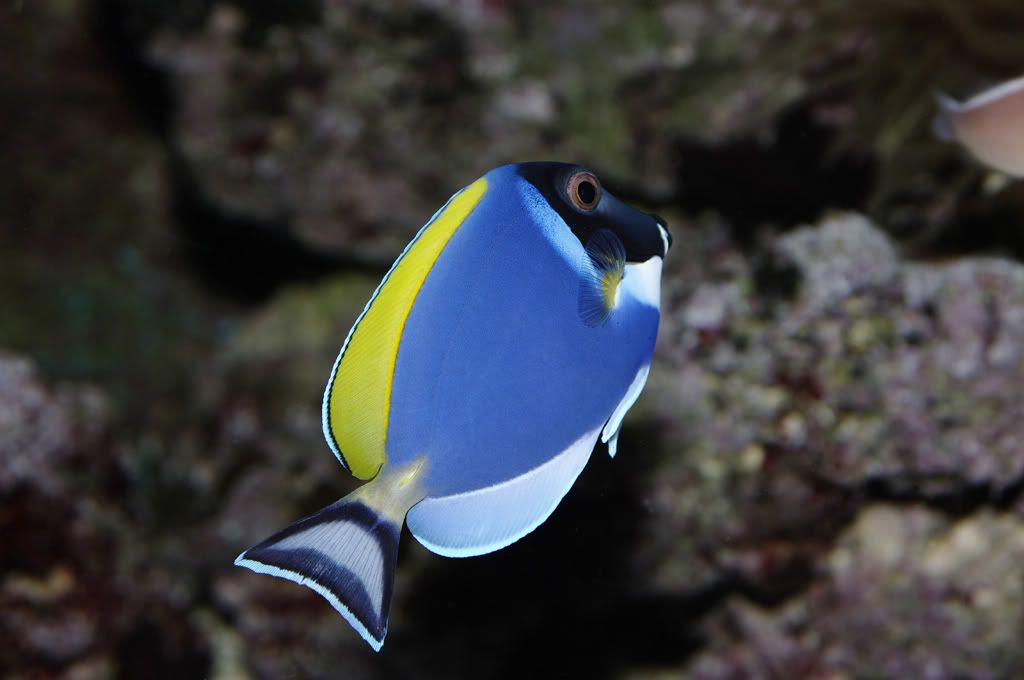 IGP3428.jpg