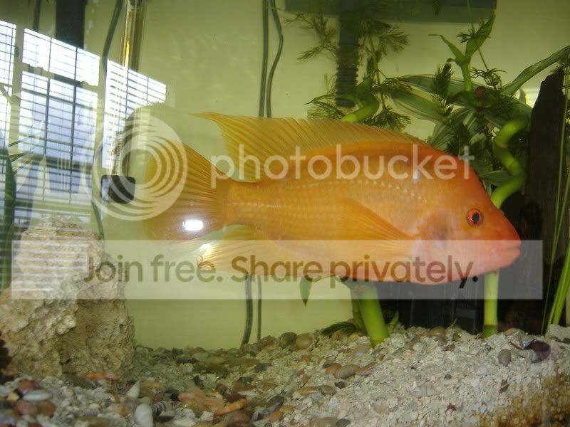 DSCF7046.jpg