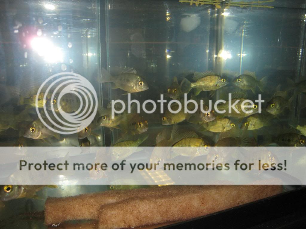IMG_9479.jpg