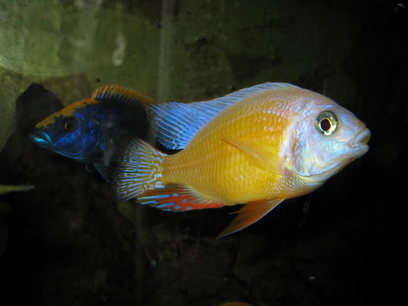 IMG_1952.jpg