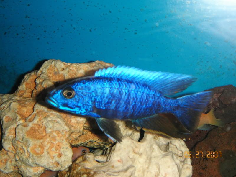 KIF_1124.jpg