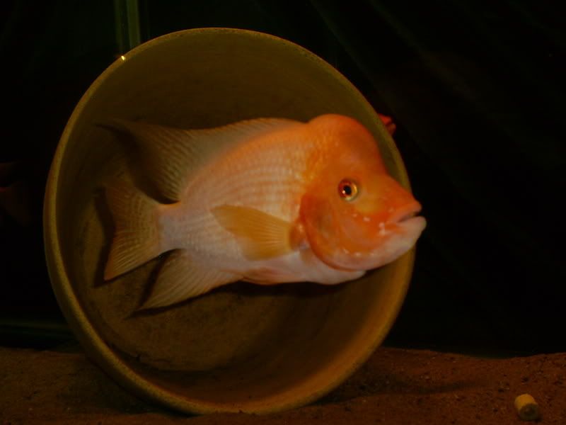 S5031272.jpg