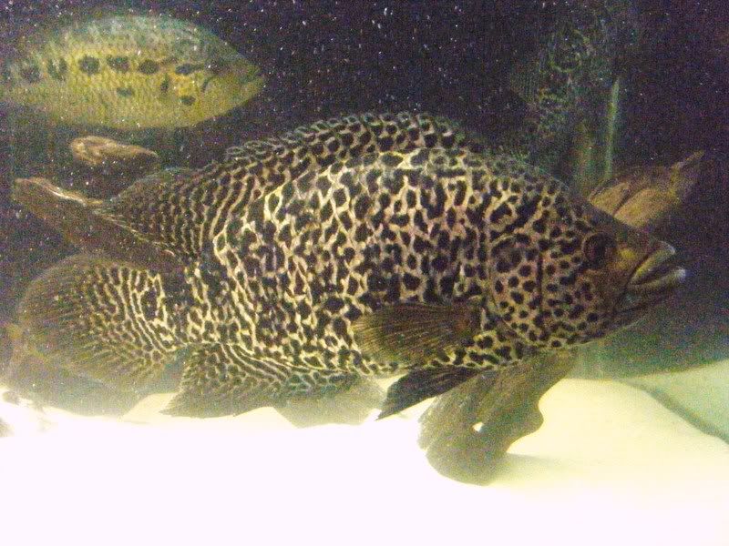 DSCF3119.jpg