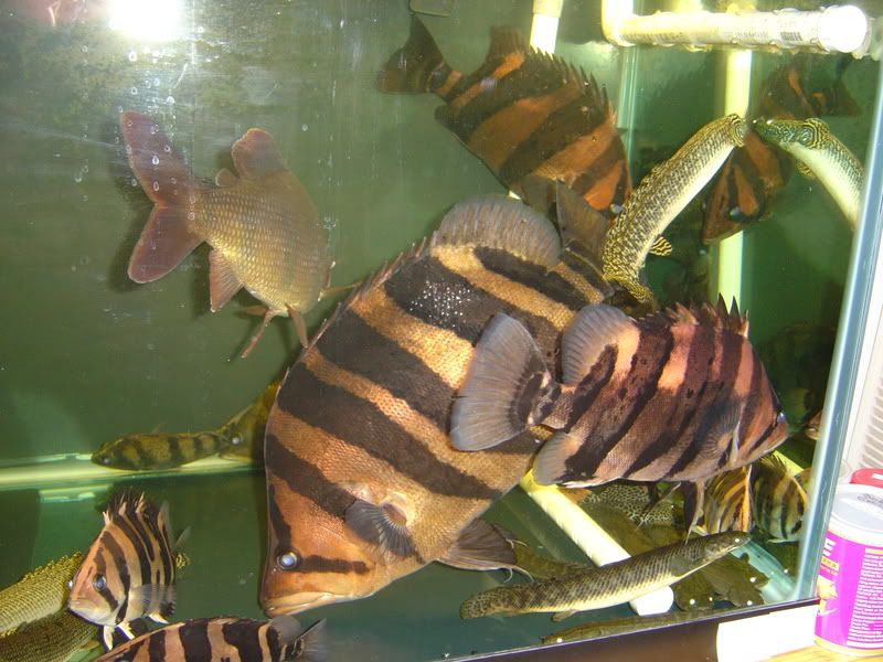 7-15-08011.jpg